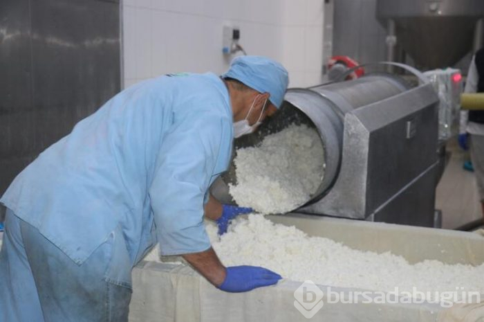 15 ülkede pizzaları lezzetlendiriyor