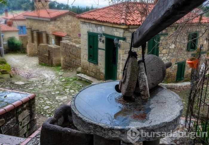 Türkiye'nin en iyi korunmuş köyü! 
