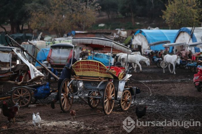 Fayton için rapor sonucu bekleniyor