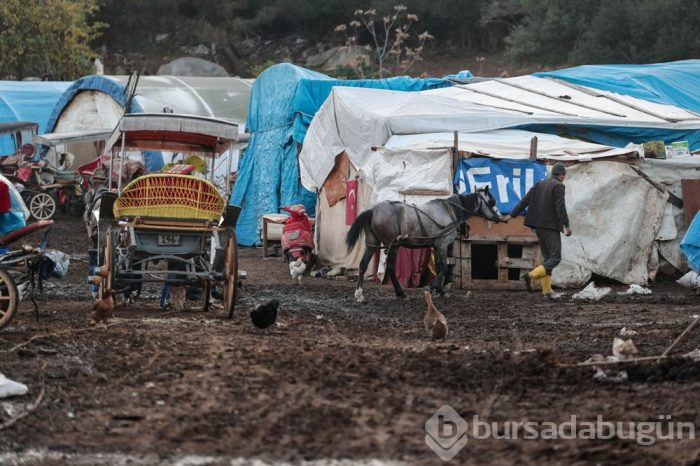 Fayton için rapor sonucu bekleniyor