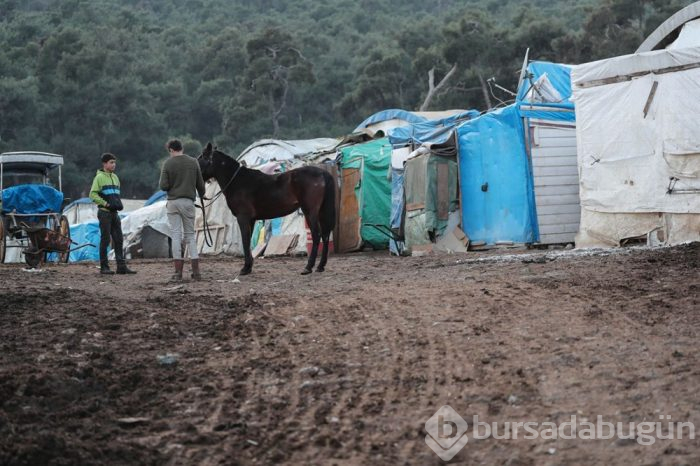 Fayton için rapor sonucu bekleniyor