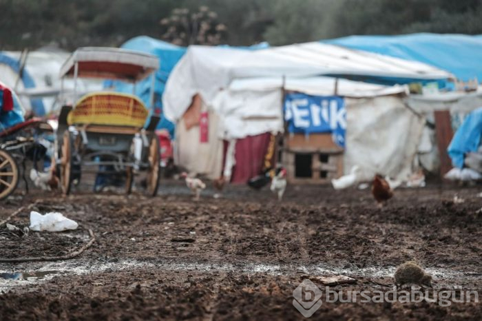 Fayton için rapor sonucu bekleniyor