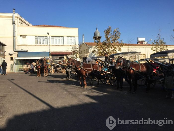 Fayton için rapor sonucu bekleniyor
