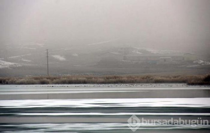 Duyan Sivas'a koşuyor!
