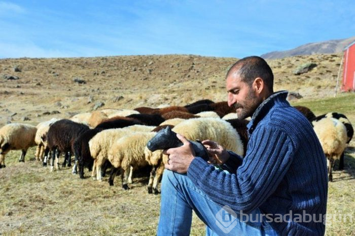 Ağacı taşı heykele dönüştürüyor