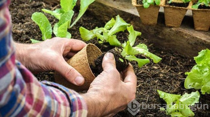'Uyuyamıyorum' diyenlere tavsiyeler