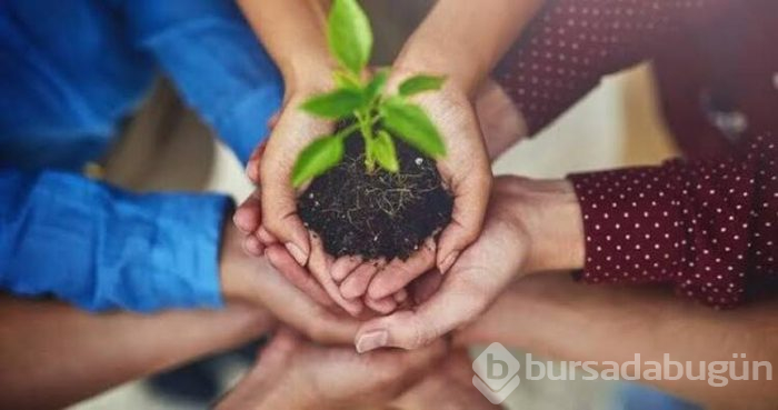 Türkiye'nin Google aramaları