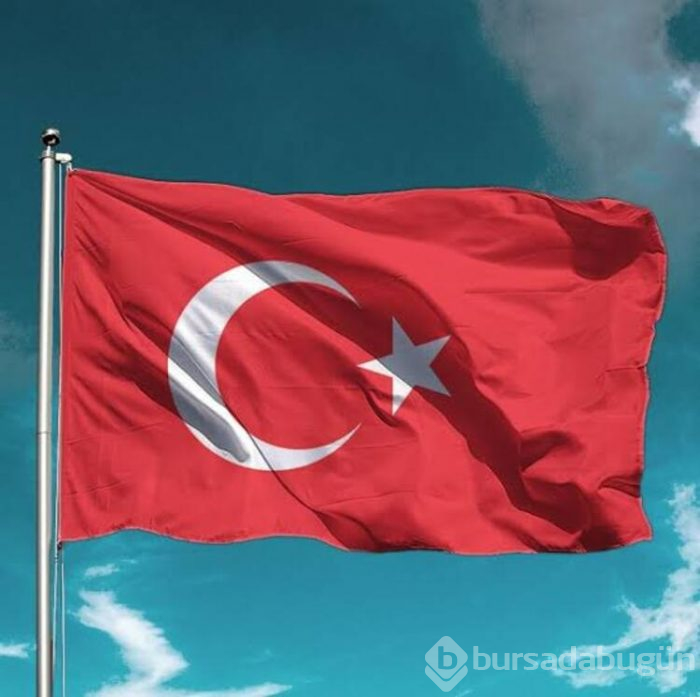 Türkiye'nin Google aramaları