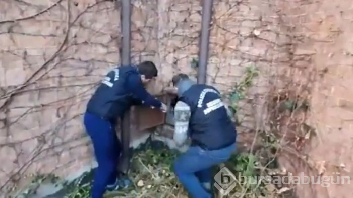 'Bir Leydi'nin Portresi' bulundu! Bakın nerede çıktı