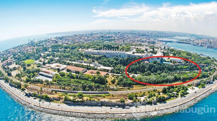 Herkesi korkutmuştu ama çözüm bulundu!