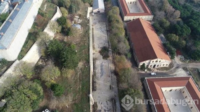 Herkesi korkutmuştu ama çözüm bulundu!
