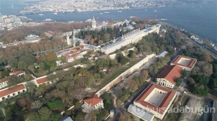 Herkesi korkutmuştu ama çözüm bulundu!