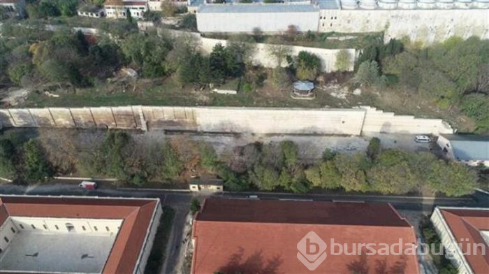 Herkesi korkutmuştu ama çözüm bulundu!
