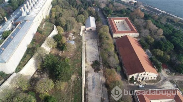 Herkesi korkutmuştu ama çözüm bulundu!