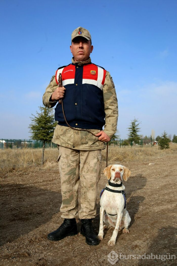 JAKEM yerli köpekler eğitiyor!
