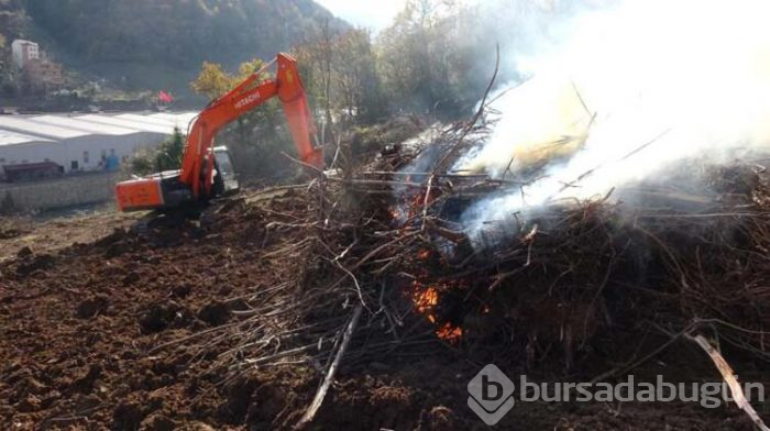 Drakula gelince bahçelerini yakmaya başladılar!