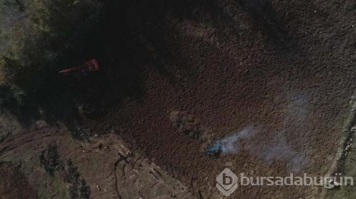 Drakula gelince bahçelerini yakmaya başladılar!