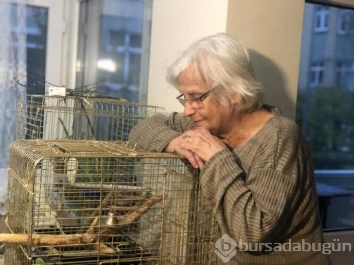 Yaralı kargayı besleyen kadına ceza geldi!