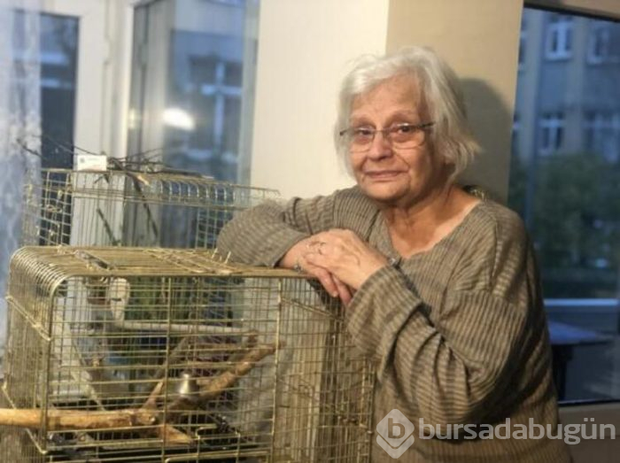 Yaralı kargayı besleyen kadına ceza geldi!