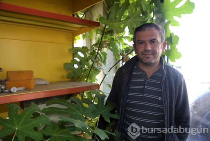 Muğla'da görenleri şaşırtan olay!