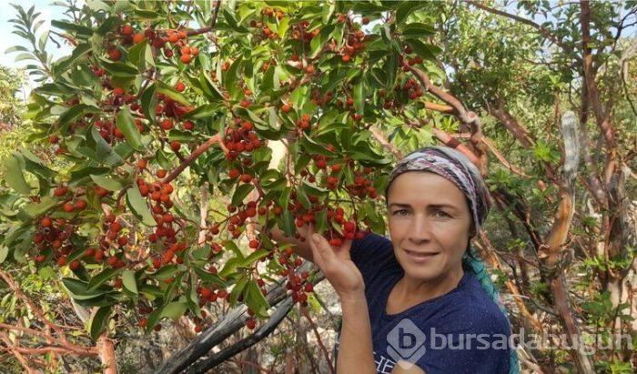 Bir yiyen bir daha vazgeçemiyor