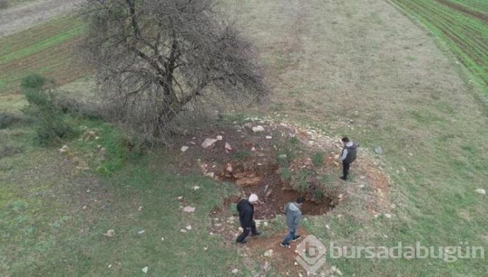 Sayısı gün geçtikçe hızla artıyor!