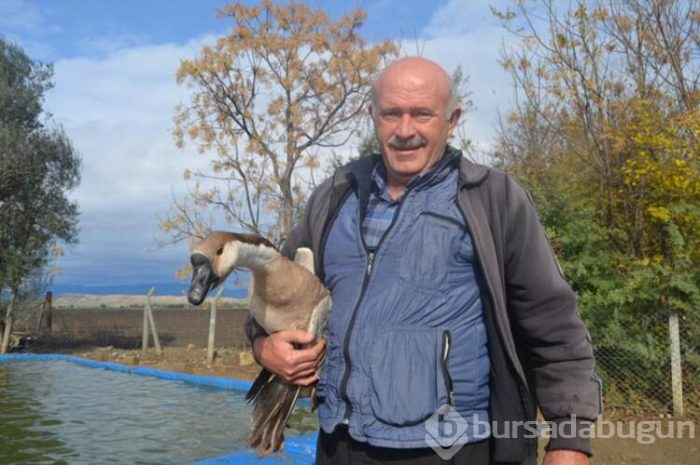 İnternetten araştırırken buldu!