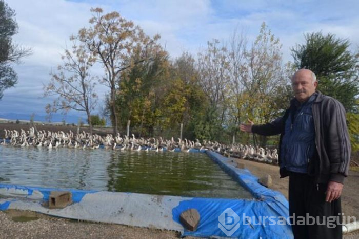 İnternetten araştırırken buldu!