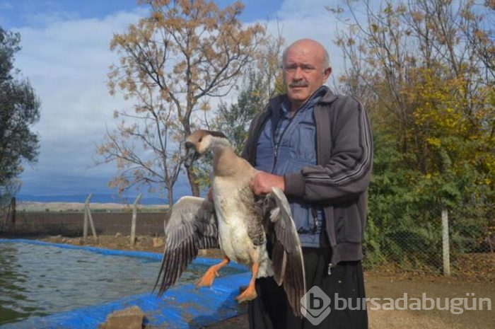 İnternetten araştırırken buldu!