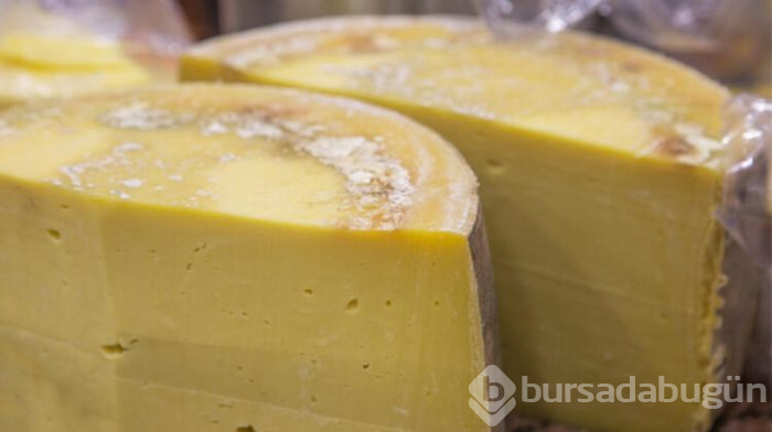 Süte çamaşır suyu ve tentürdiyot koyuyorlar!