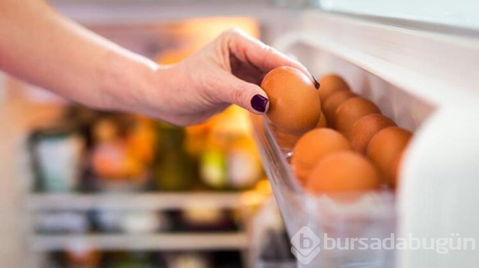 Yumurta hakkında bilinmesi gerekenler