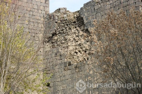 5 bin yıllık tarihi çalıyorlar