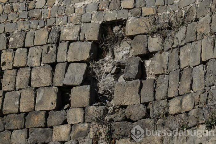 Turizm zabıtası kurulmasını talep ettiler!