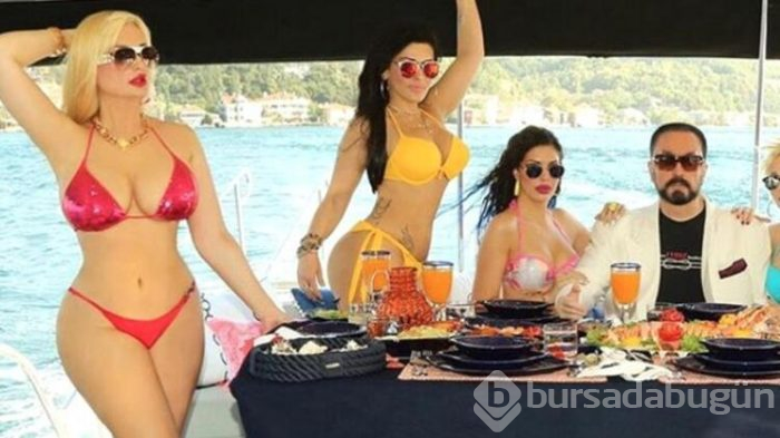 Kedicikler nerede?