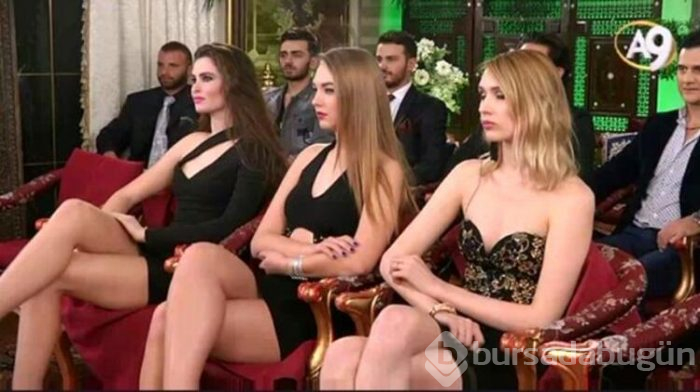 Kedicikler nerede?
