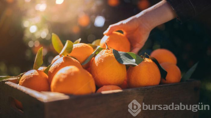 Bağışıklık sistemini güçlendirmenin yolları