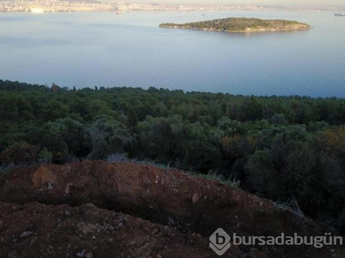 Büyükada'da 2 esrarengiz çukur! İnsanın aklına ilk gelen şey...