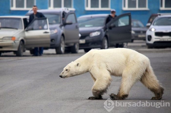 2019'un kısa turu! Damga vuran olaylar