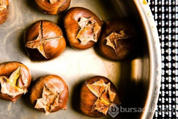 Kestane hakkında merak edilenler