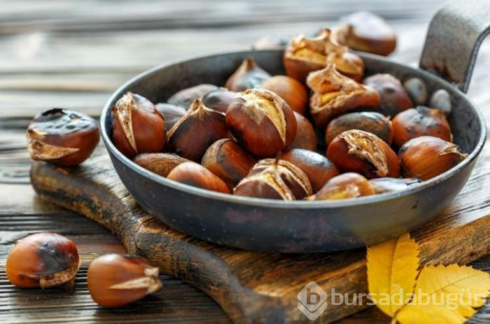 Kestane hakkında merak edilenler