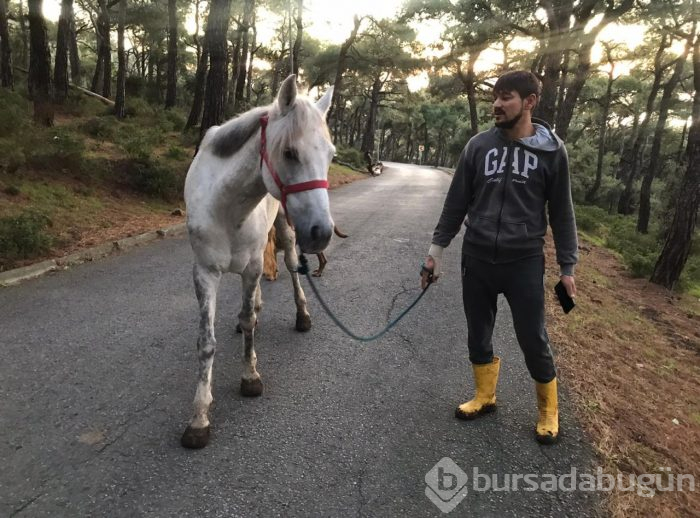 Merak uyandıran iki dev çukur