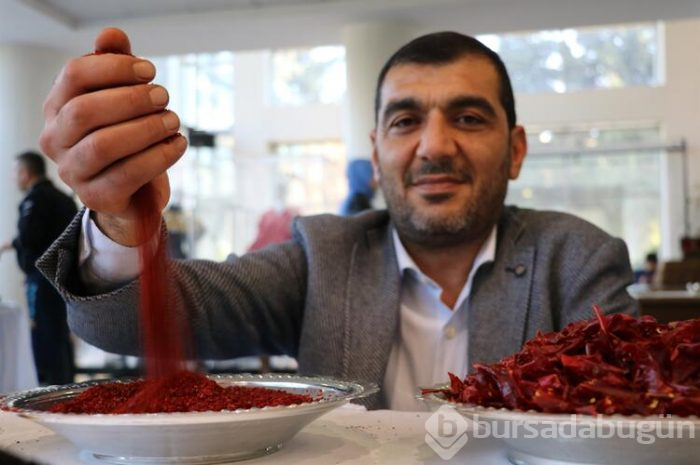 Türkiye'nin en acı biberini yemek için yarıştılar! 
