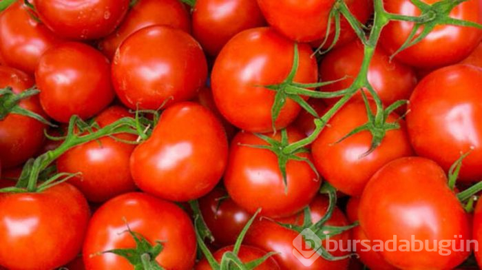 Vücudunuzu toksik maddelerden arındıran 5 besin!