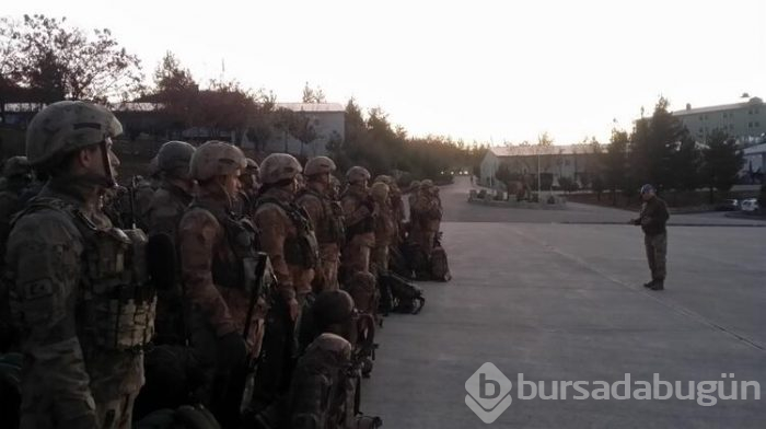 Şırnak ve Hakkari'de operasyonlar başladı! 