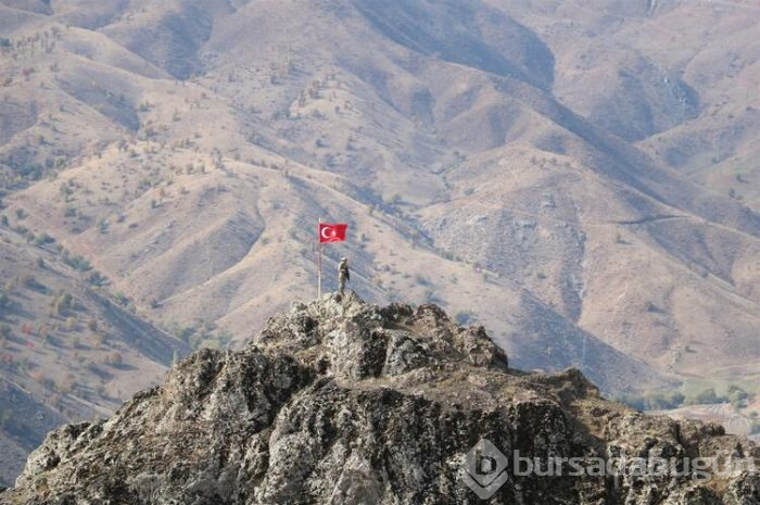Şırnak ve Hakkari'de operasyonlar başladı! 