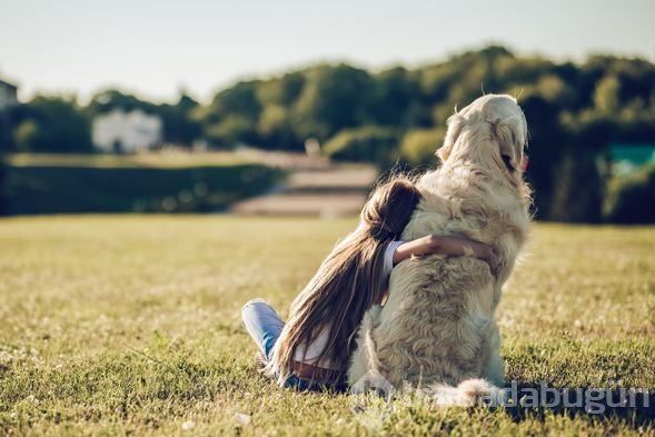 Köpek sahibi olanların şizofreni riski daha düşük!