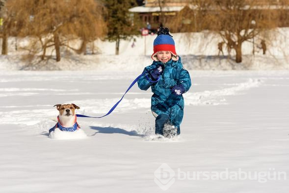 Köpek sahibi olanların şizofreni riski daha düşük!