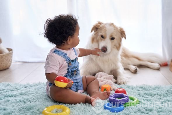 Köpek sahibi olanların şizofreni riski daha düşük!