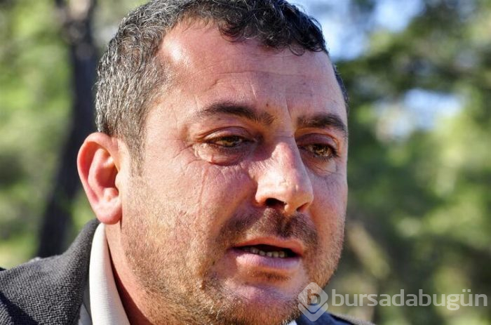 Musa feryat etti! Kazada 4 canını kaybetti