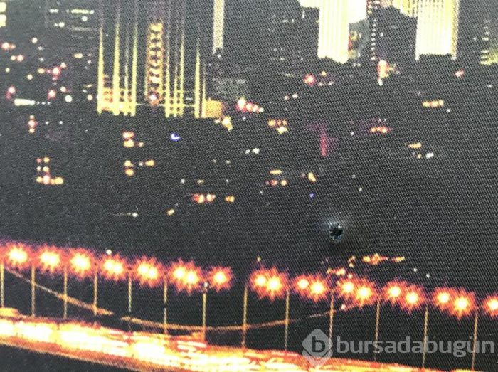 Tuzakları yapılan operasyon ile ortaya çıktı!